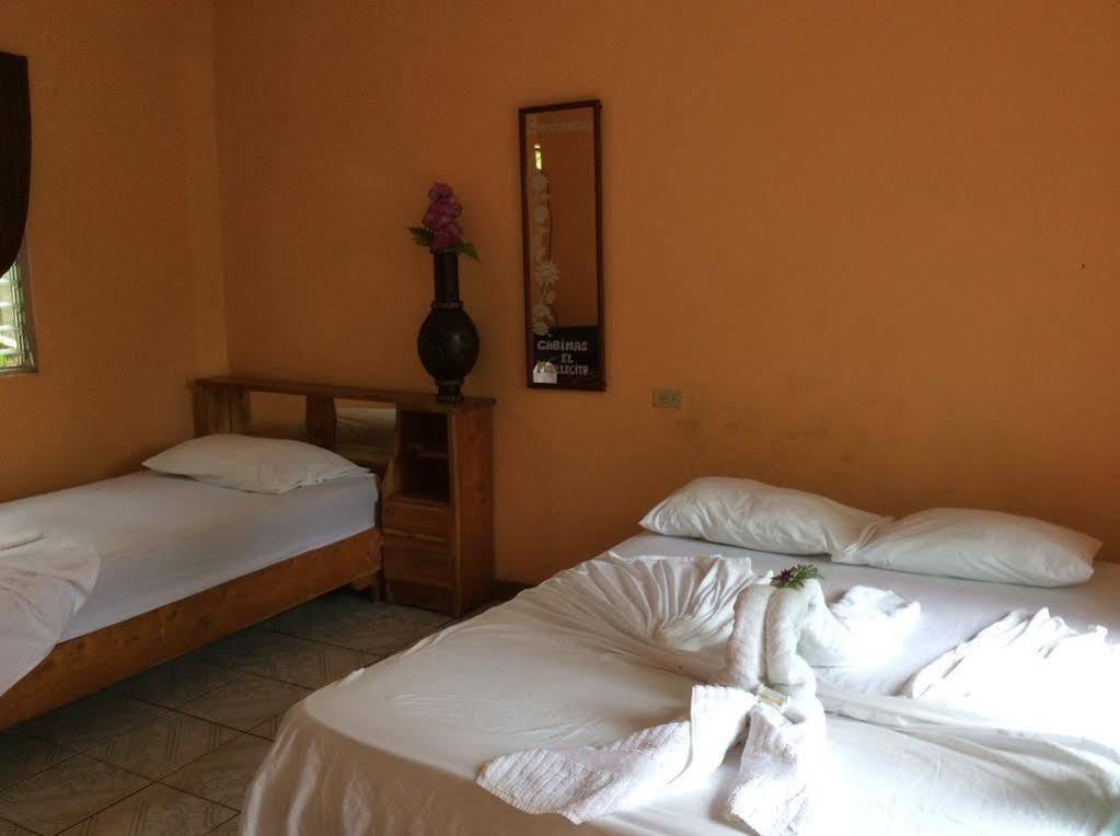 Cabinas El Muellecito 托尔图格罗 外观 照片